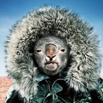 Фотограф James Day