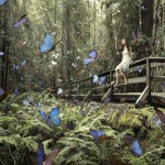 Фотоконкурс Sony World Photography Awards 2013