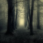 Маленькие шедевры фотографа Oer-Wout
